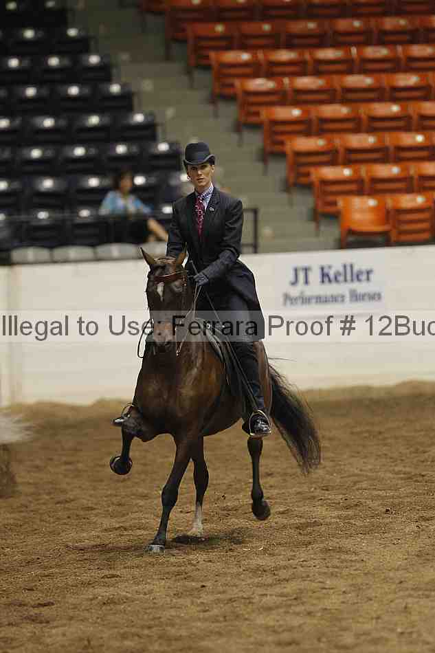 Proof 12buck_3809