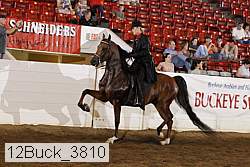 12buck_3810 proof