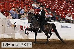 12buck_3812 proof