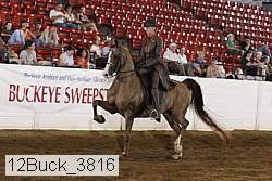 12buck_3816 proof