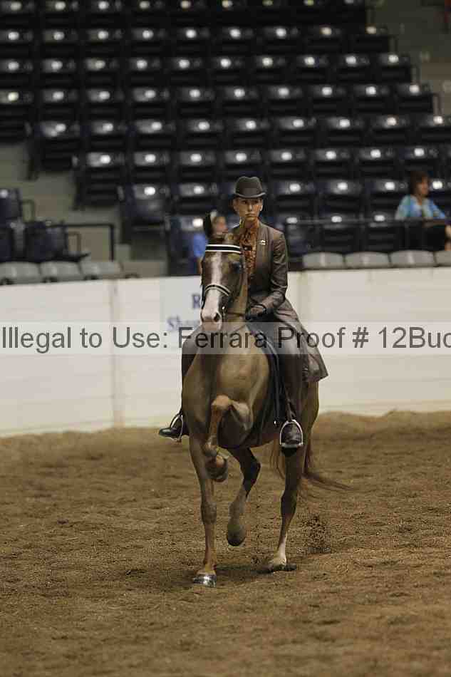 Proof 12buck_3817