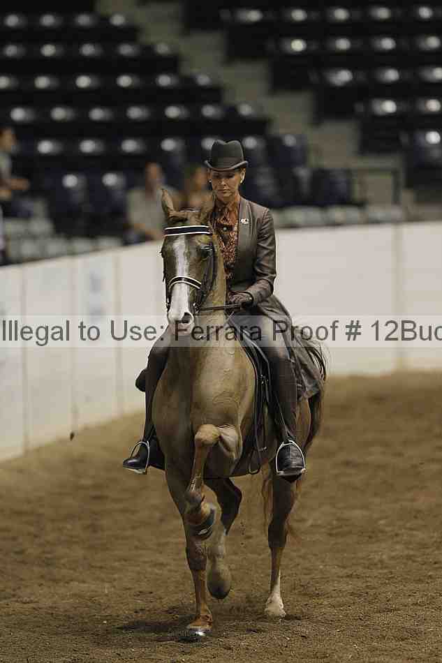 Proof 12buck_3828