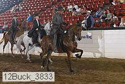 12buck_3833 proof
