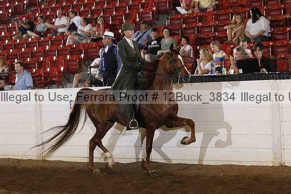 Proof 12buck_3834
