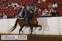 12buck_3834 proof