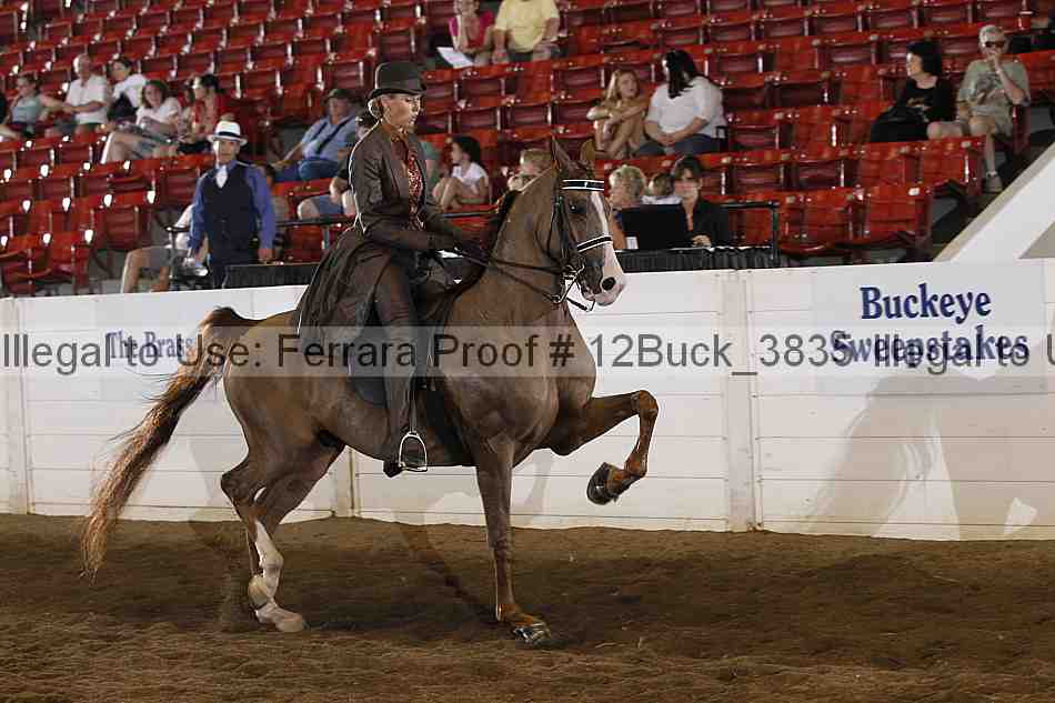 Proof 12buck_3835