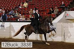 12buck_3836 proof