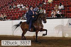 12buck_3837 proof