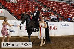 12buck_3838 proof