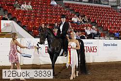 12buck_3839 proof