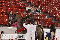 12buck_3849 proof