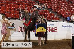 12buck_3855 proof