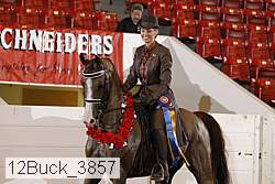 12buck_3857 proof