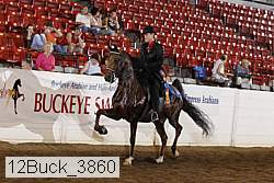 12buck_3860 proof