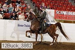 12buck_3862 proof