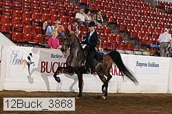 12buck_3868 proof