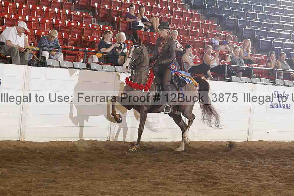 Proof 12buck_3875
