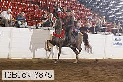 12buck_3875 proof