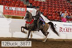 12buck_3877 proof