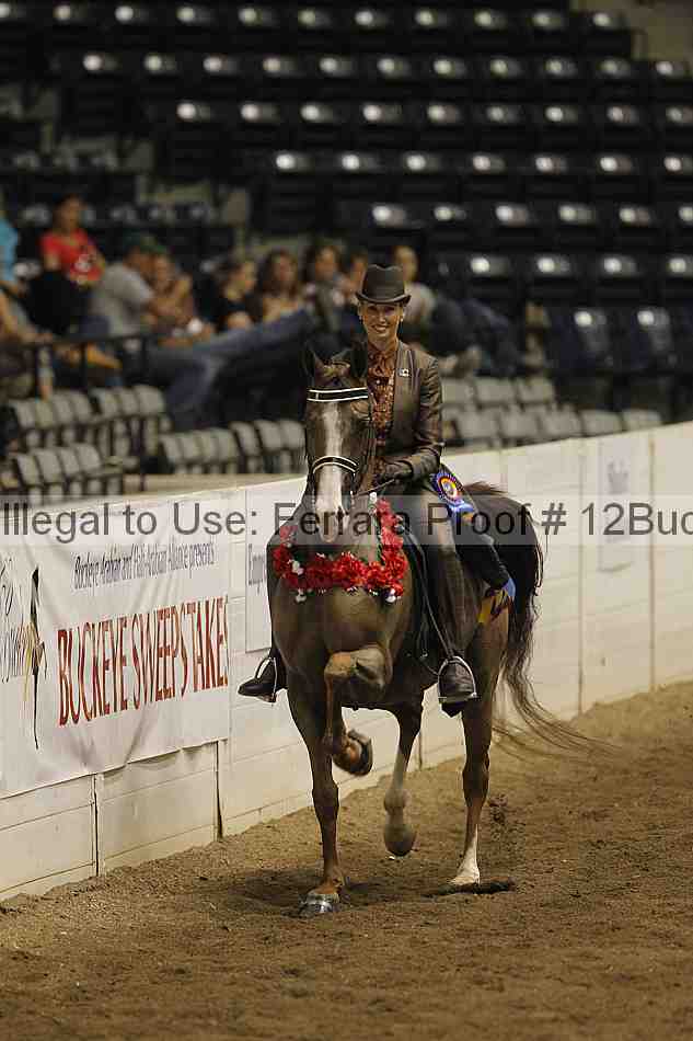 Proof 12buck_3881