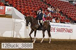 12buck_3886 proof