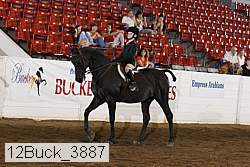 12buck_3887 proof