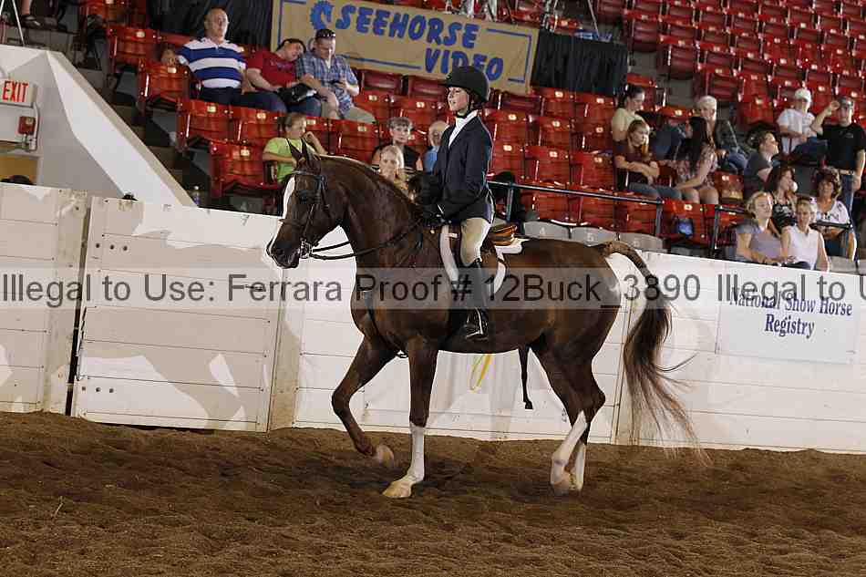 Proof 12buck_3890