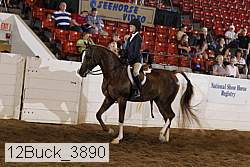 12buck_3890 proof
