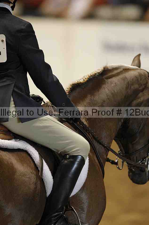 Proof 12buck_3892