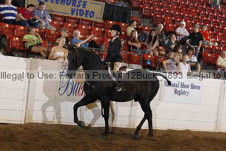 Proof 12buck_3893