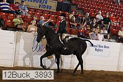 12buck_3893 proof