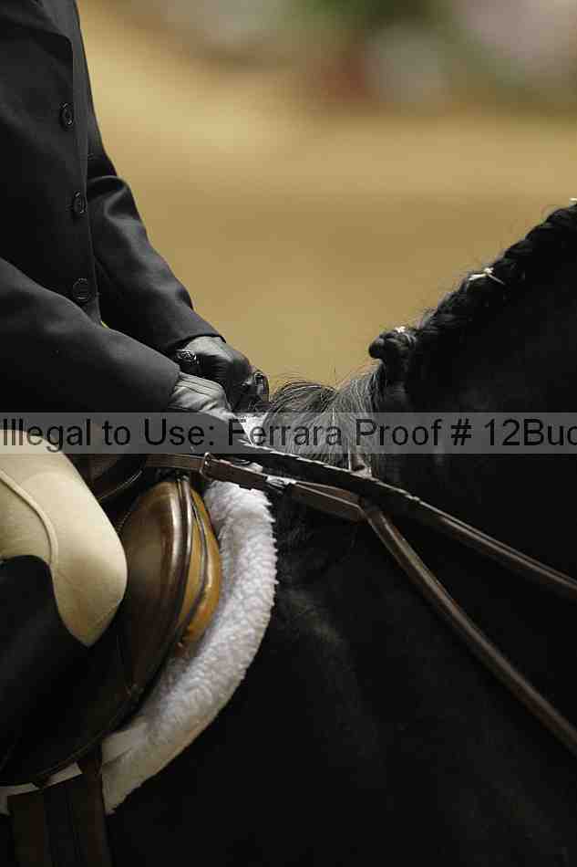 Proof 12buck_3895