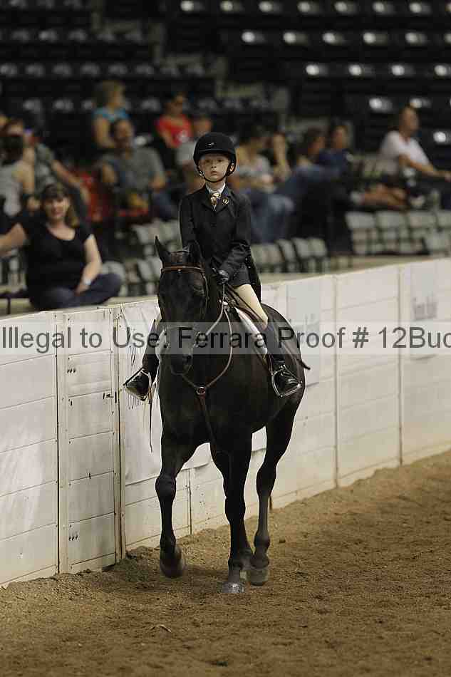 Proof 12buck_3898