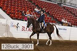 12buck_3901 proof