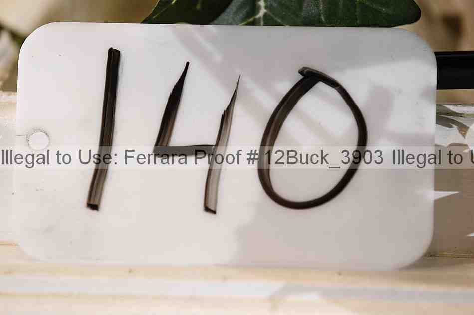 Proof 12buck_3903