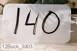 12buck_3903 proof
