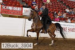 12buck_3904 proof