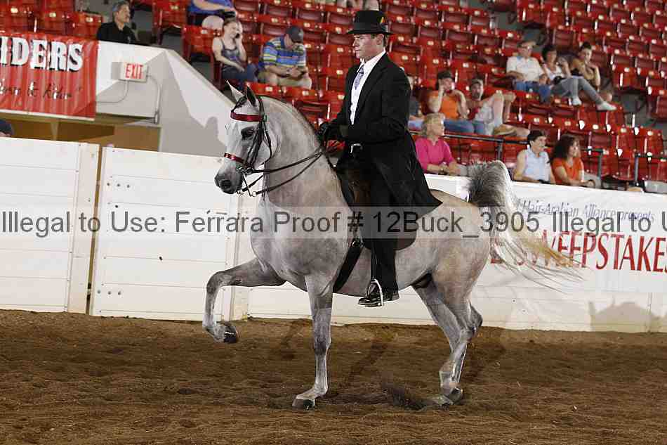 Proof 12buck_3905