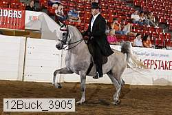 12buck_3905 proof