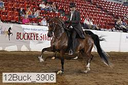 12buck_3906 proof
