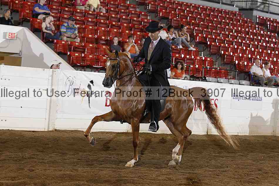 Proof 12buck_3907