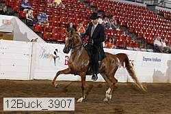 12buck_3907 proof