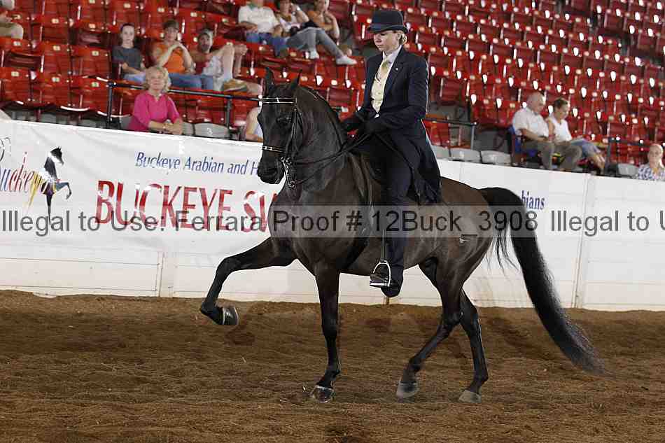 Proof 12buck_3908