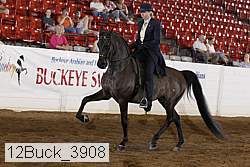 12buck_3908 proof