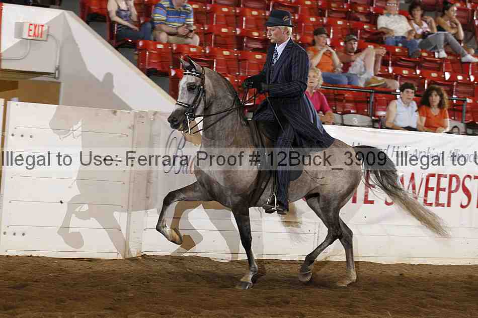 Proof 12buck_3909