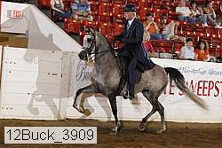 12buck_3909 proof