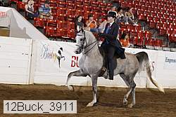 12buck_3911 proof