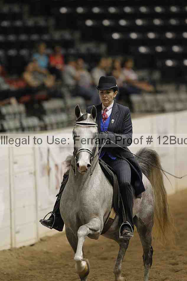 Proof 12buck_3913