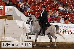 12buck_3915 proof