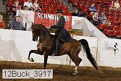 12buck_3917 proof